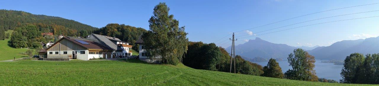 Holiday Apartment Mondseeblick Ferienhof Gassner Ferienwohnung Mit Seeblick Appartments Mondsee