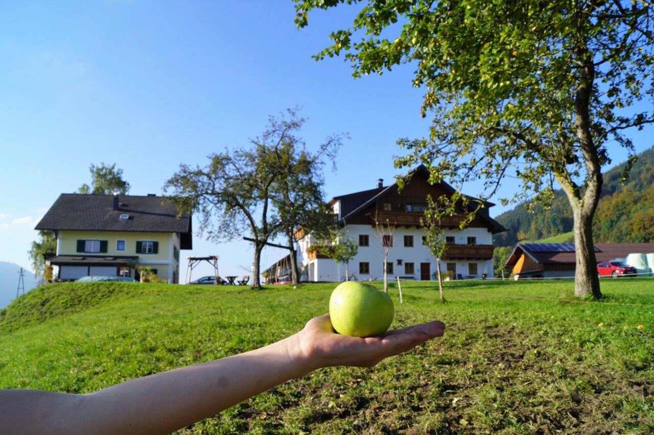 Mondsee single
