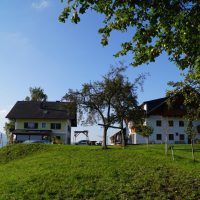 ferienwohnung-mit-pool-aussicht-am-mondsee-ferienhof-gassner-at-3