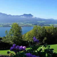 Ferienwohnung Mondsee schoberblick gassner (20)