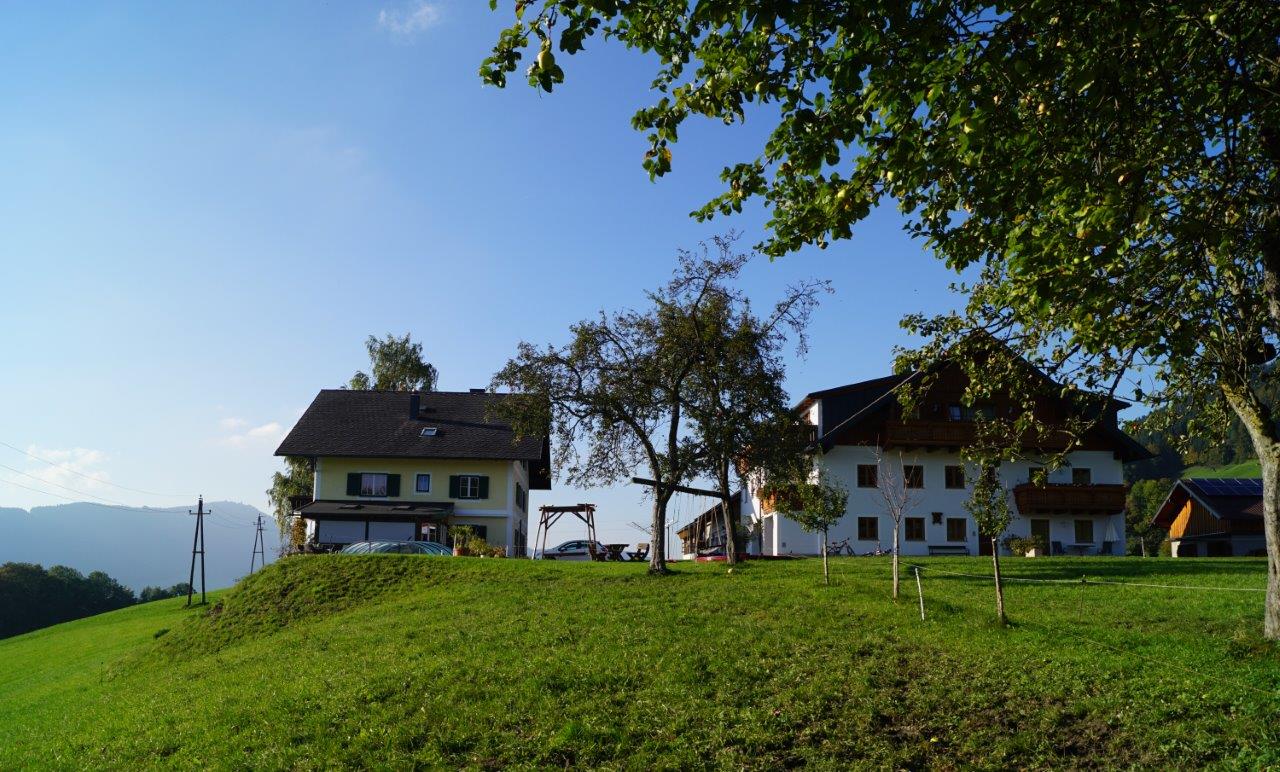 ferienwohnung-mit-pool-aussicht-am-mondsee-ferienhof-gassner-at-3